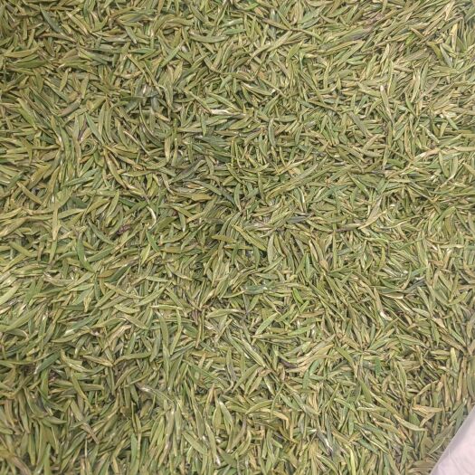 湄潭县大量供应贵州湄潭翠芽，一斤起批。