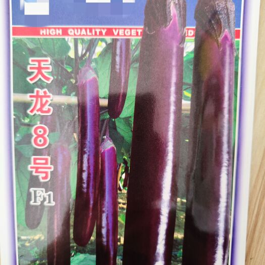 勐腊县天龙8号紫长茄，果长32-38，粗5cm 产量高。