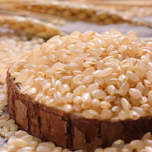 抚顺东北糙米胚芽米2023新米健身主食粗粮杂粮饱腹糙米饭包邮