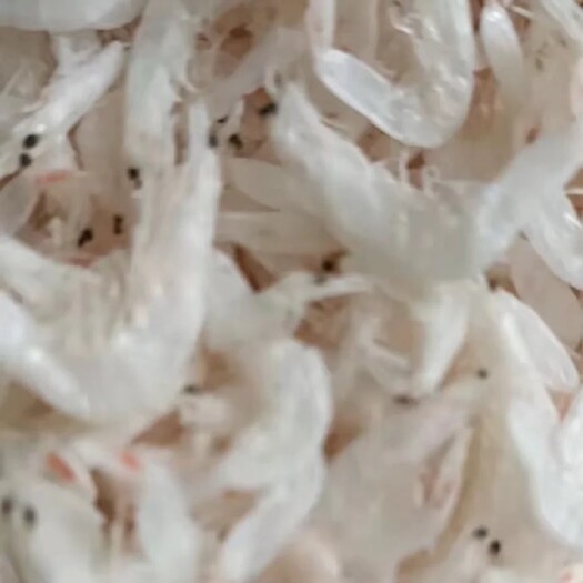 滨州海产干货虾皮