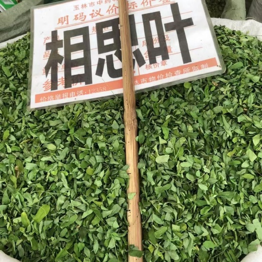 江门鸡骨草叶甜鸡骨草相思叶