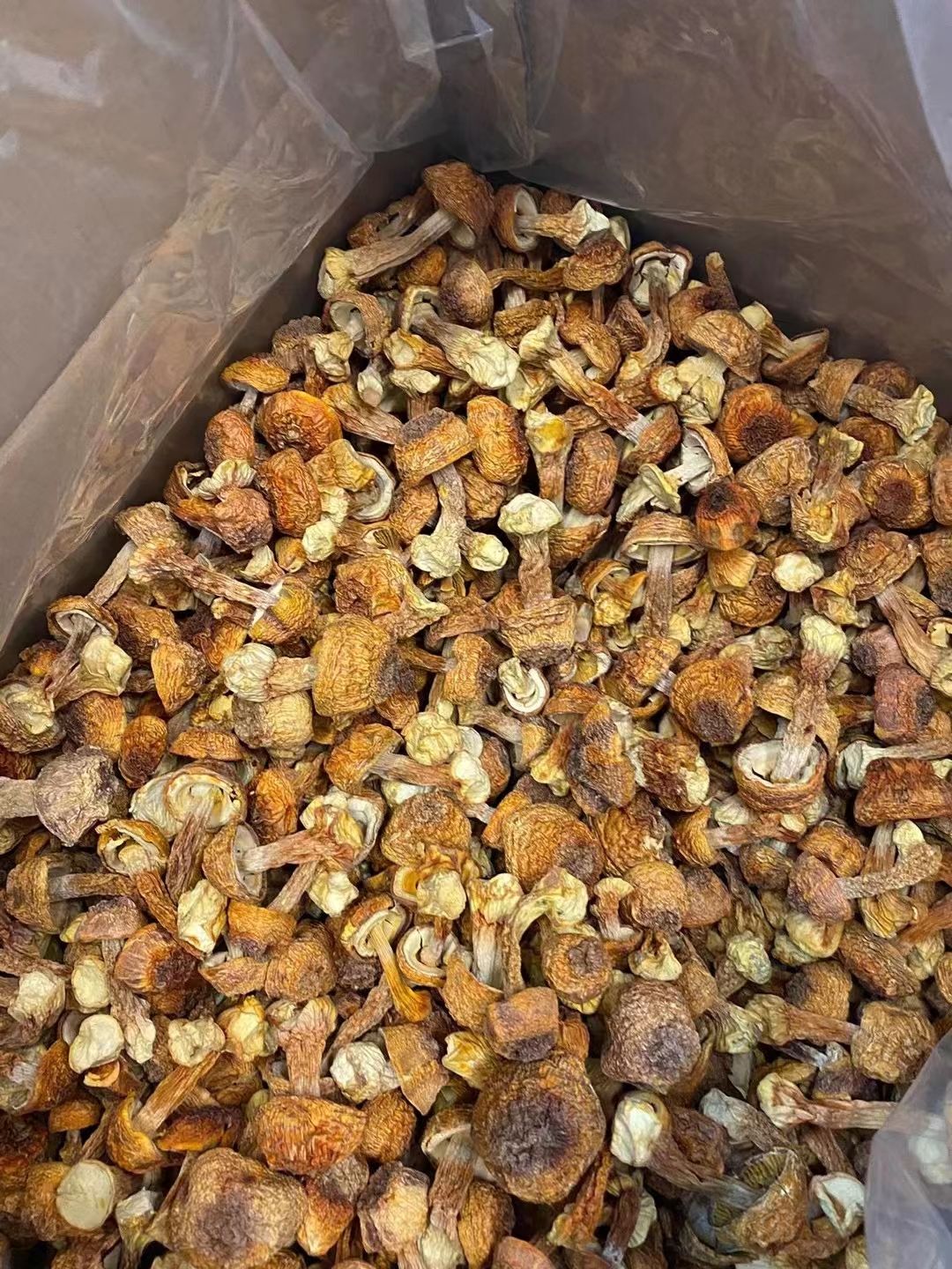 云南姬松茸干货云南特产菇类菌巴西菇干野生姫松菇茸菇鸡松菌松茸