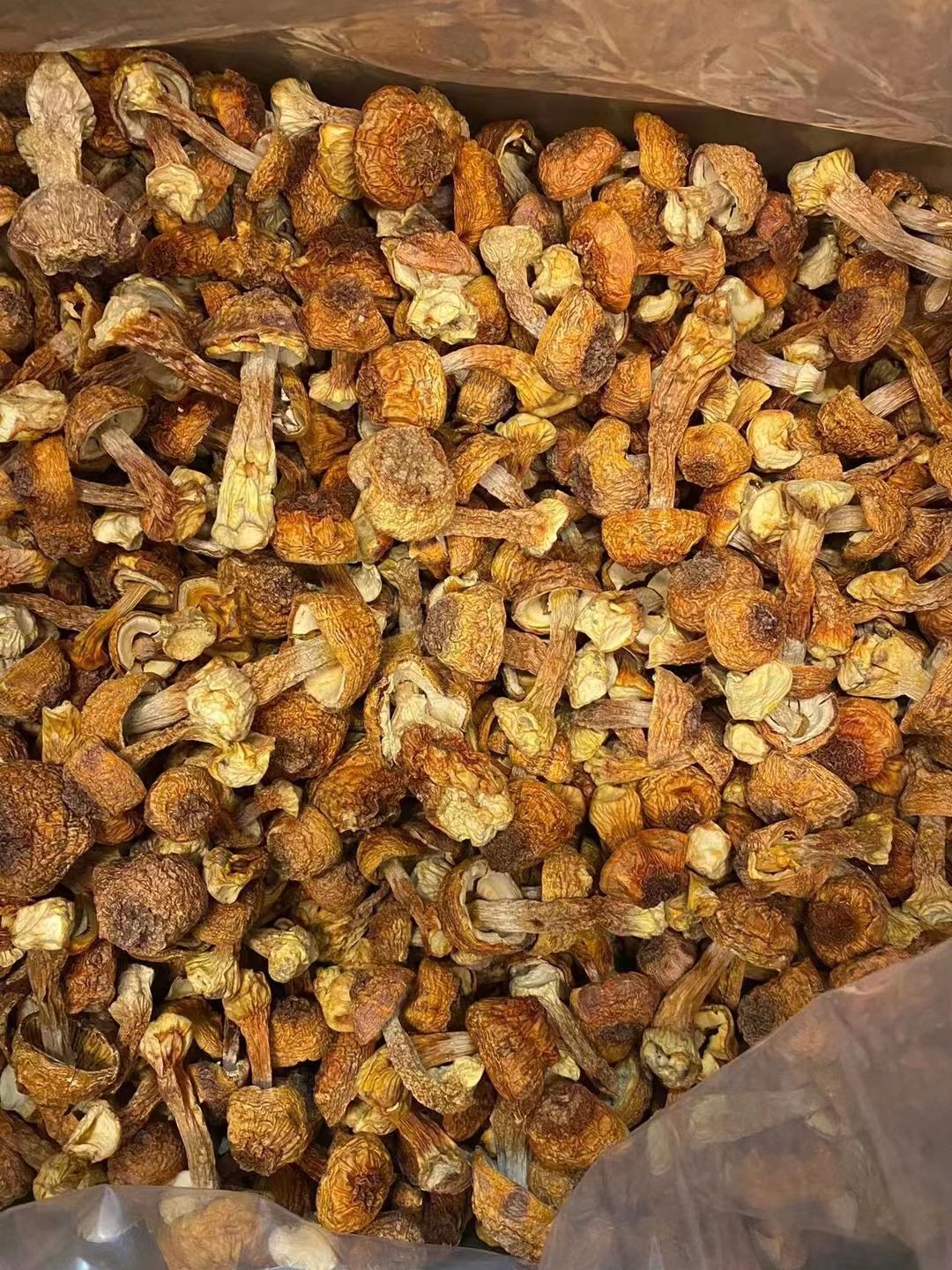 云南姬松茸干货云南特产菇类菌巴西菇干野生姫松菇茸菇鸡松菌松茸