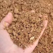 正定县饲料原料苹果渣