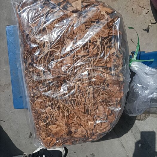 中牟县茶树菇，开伞，半干伞，产地发货
