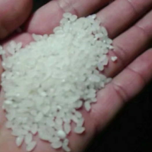 范县粳米 瑕瑜自营大米