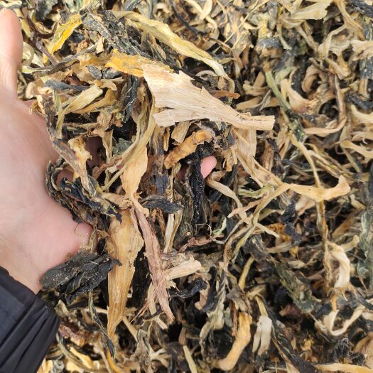 武威白菜干   脱水白菜  农家自然晒干  绿色无盐