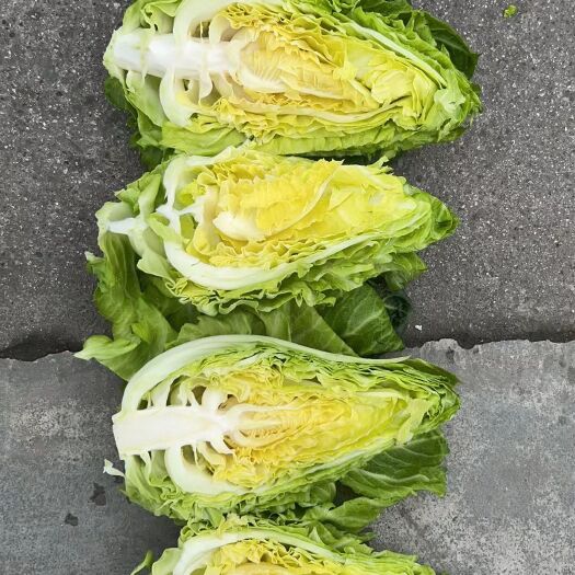 威宁县鸡心菜