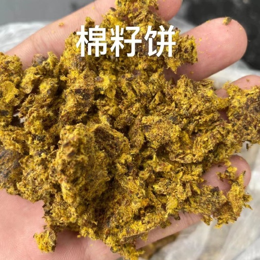 石家庄棉籽饼（主要用于牛羊饲料主料）