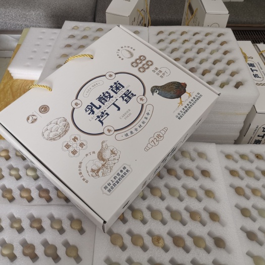 曹县批发芦丁鸡种蛋，周供5万枚，欢迎孵化场联系合作