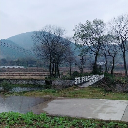 遂溪县农家肥