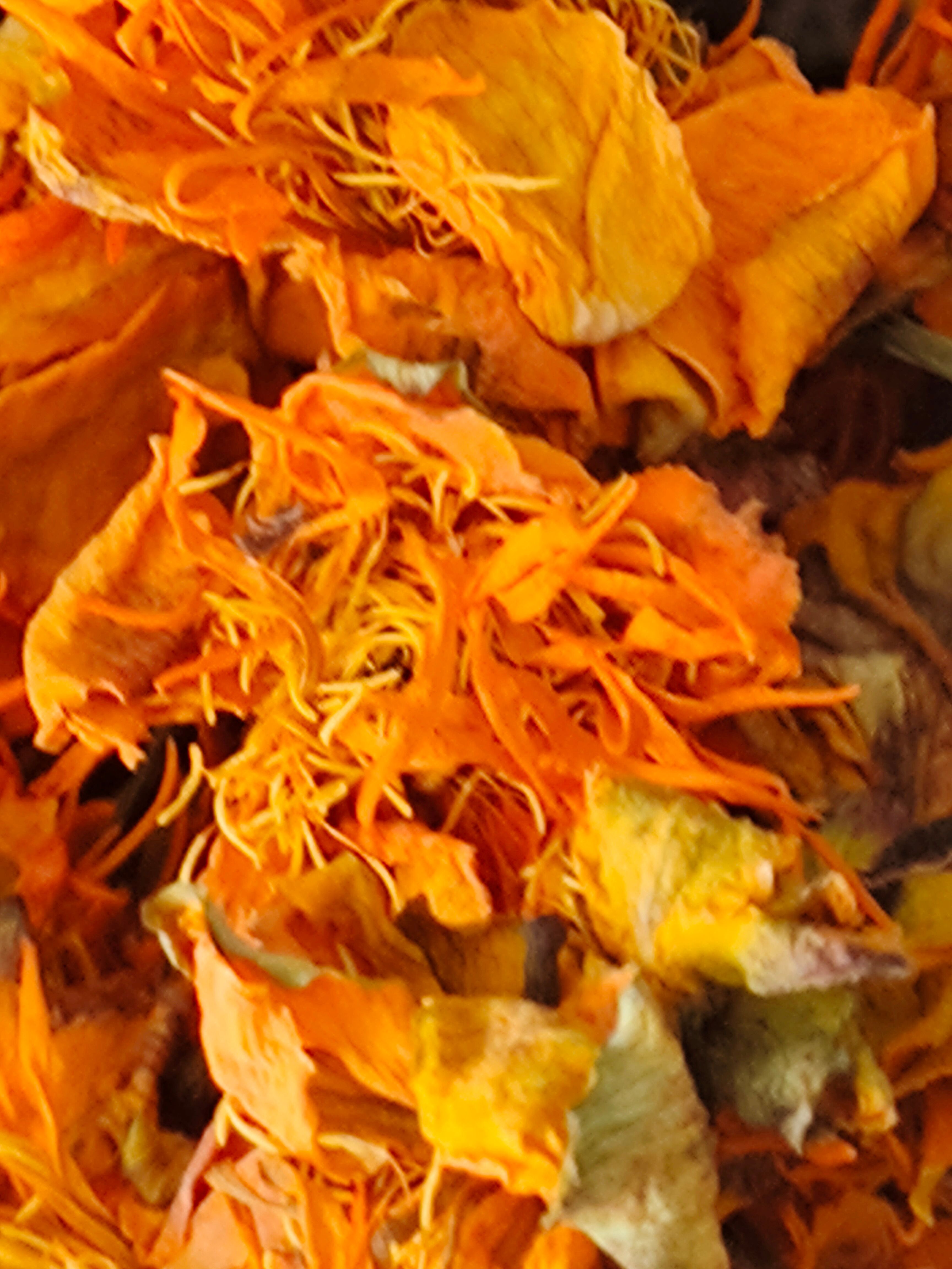 金莲花干花【产地直供】一手货源