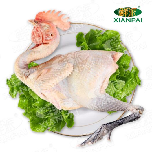 成都新鲜宰杀，白条鸡鸭，三黄鸡，青脚鸡，乌鸡，土鸡，肉鸭，