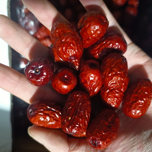 周口红枣 新疆红枣  珍珠枣 价格美丽 质量好 当年新货