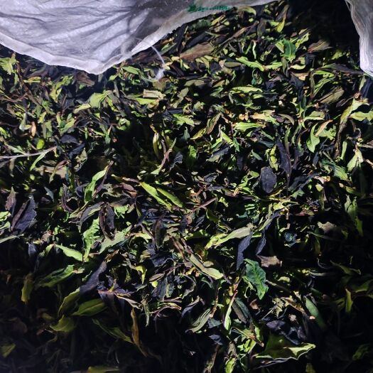 云县云南生态茶