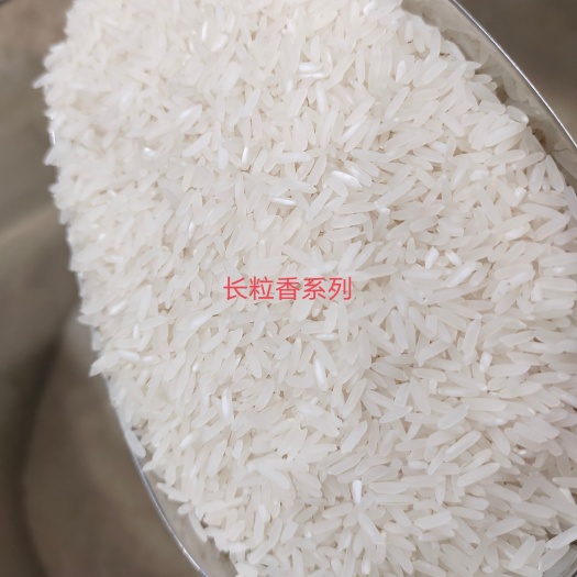 高州市一手农产自销长粒香米大米不抛光打蜡10斤装包邮