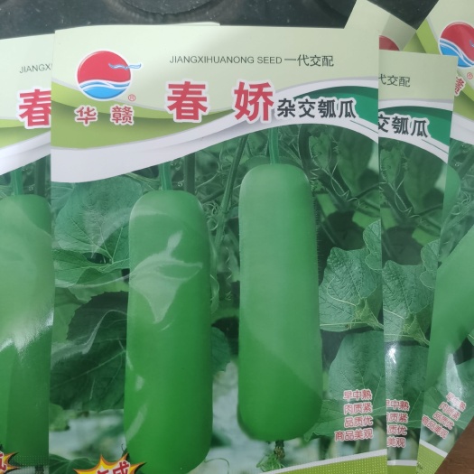 南靖县春娇瓠瓜，露天大棚均可栽培，瓜型端庄，颜色翠绿，产量稳定。