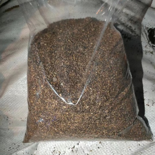 正定县烘干木薯酒糟