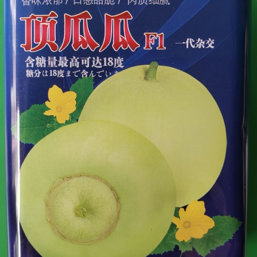 余干县顶瓜瓜甜瓜种子，一代杂交种，单果重500克左右，糖度18度