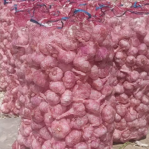 周口大蒜 产地直销 诚信经营 品质保证，（预售）