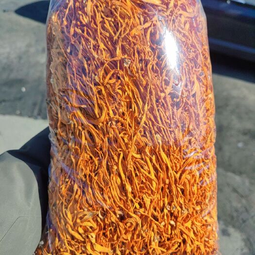 灯塔市虫草花干货批发辽宁产地直供蛹虫草东北特产一周新货