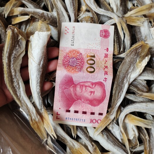 滨州皮棍鱼干红娘子鱼！淡干无盐！干度特别好去头去内脏的！一根主刺