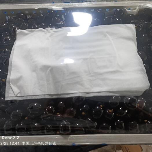 营口树葡萄