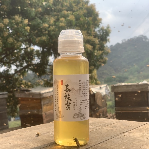 东莞市鲜野生农家自产荔枝蜜便携瓶装玻璃罐礼盒装一件代发