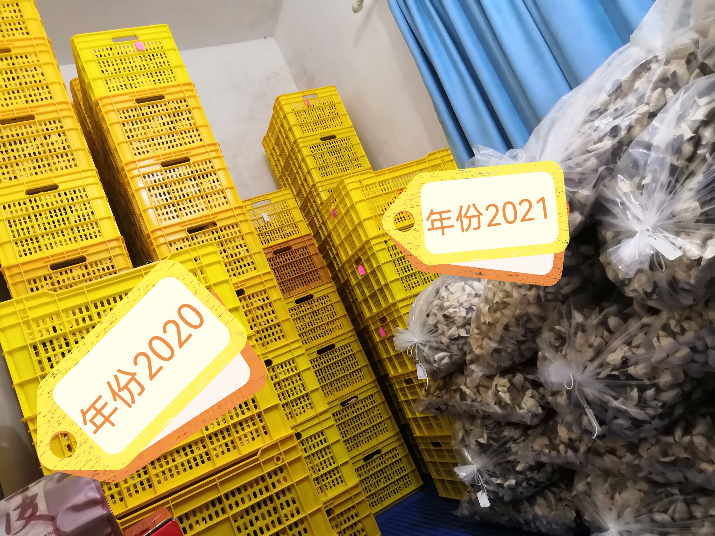 新会陈皮 柑下乘凉 用心去做！