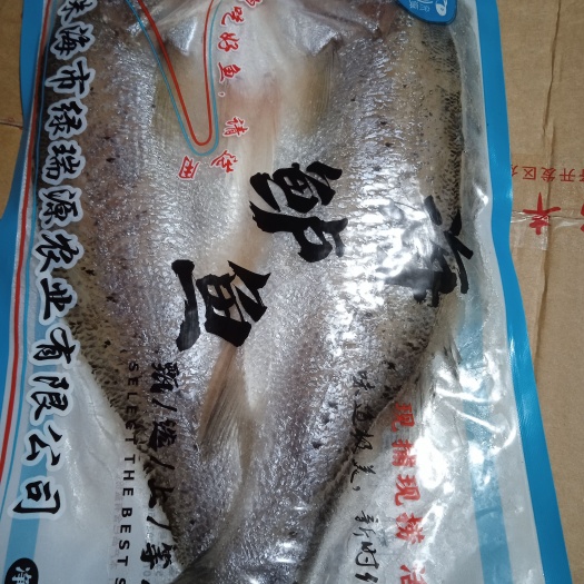 淮北蕉白海鲈