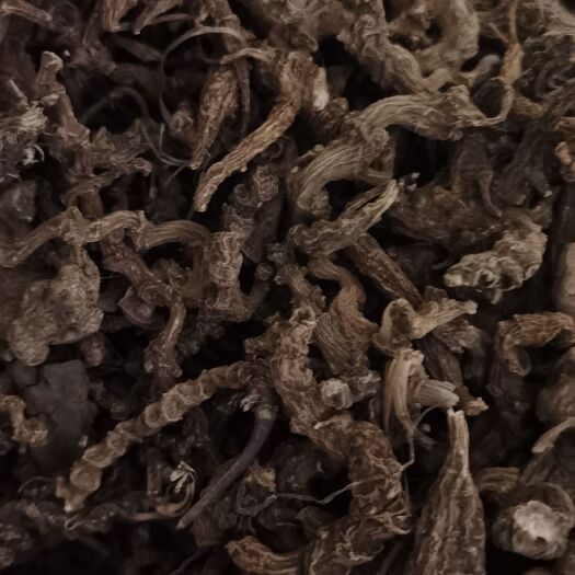 毕节统货竹节参