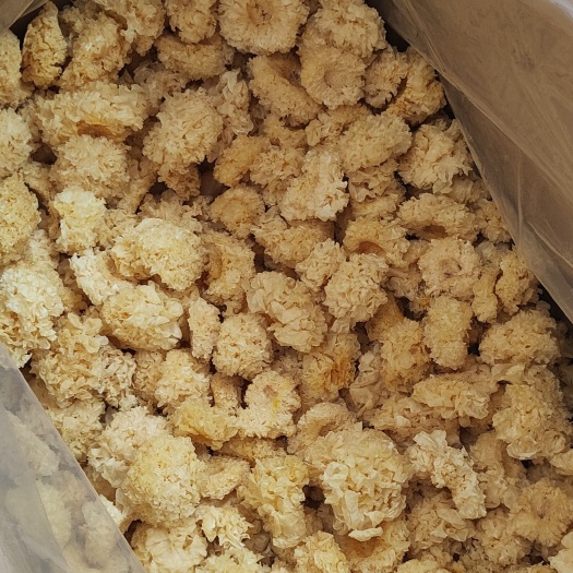 普宁市椴木银耳 小银耳  胶质浓厚 新货