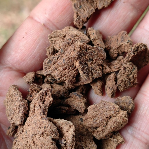 遂溪县茶枯