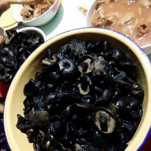 野生黑炭姑