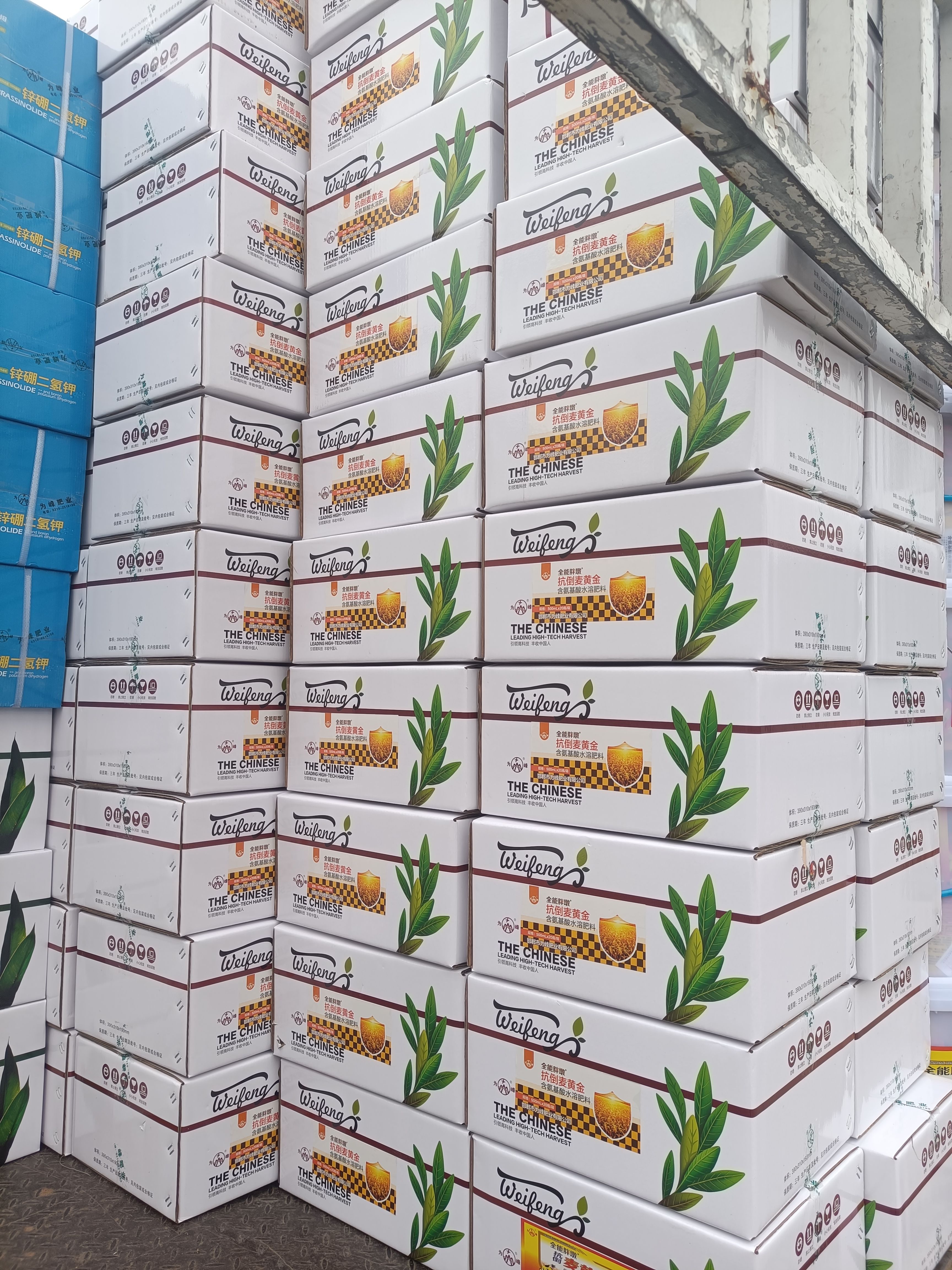 麦黄金  小麦专用