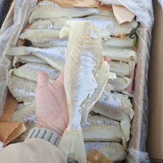 滨州麦香鱼，头皮去头去内脏，没有碎刺，都是蒜瓣肉 ，肉质特别紧实