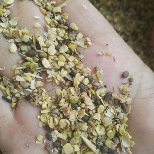 秦皇岛黄豆渣