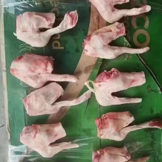 河间市新西兰羔羊拐筋