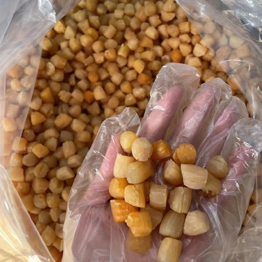 东兴市天然熟晒干贝 300头左右，个头均匀