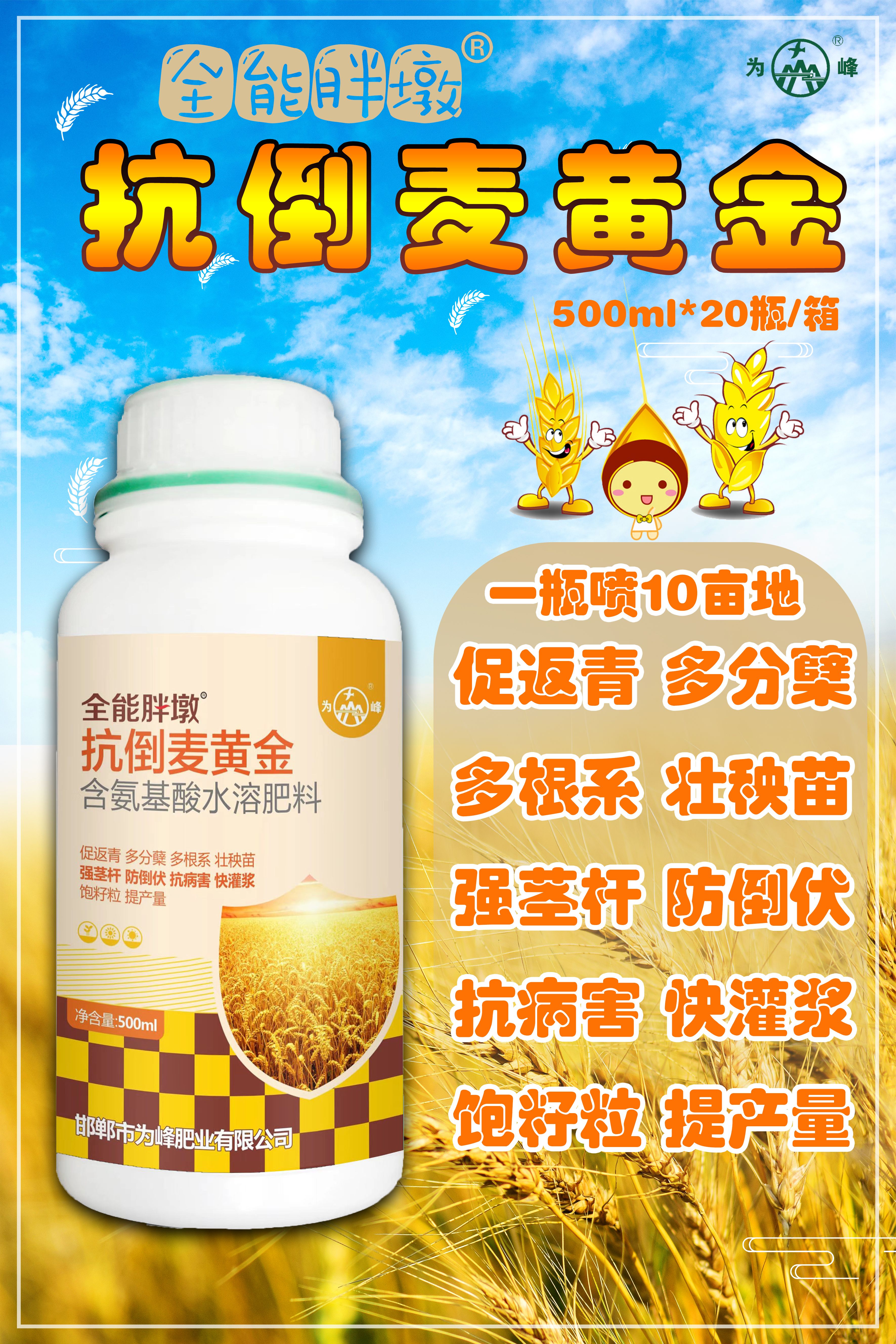 麦黄金  小麦专用