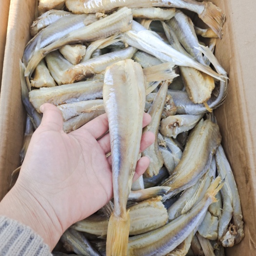 去皮去头去内脏的红头棍鱼，咸鱼，肉质鲜美，煎炸蒸炖都可以