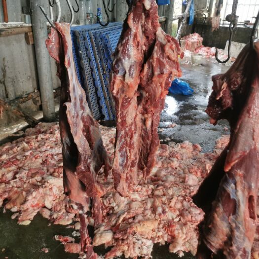潮州新鲜屠宰场直供，牛脖肉