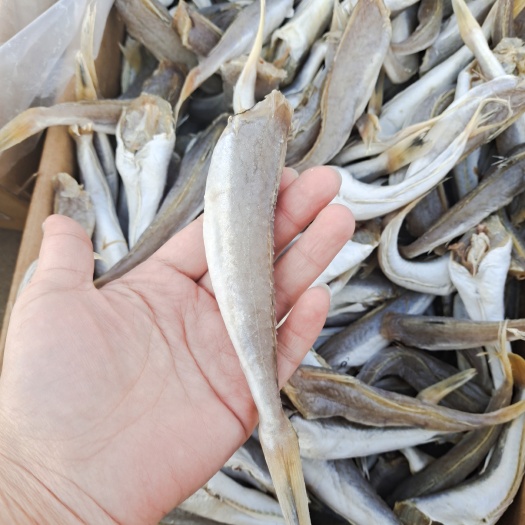 红头棍鱼，去头去内脏，煎炸蒸都可以