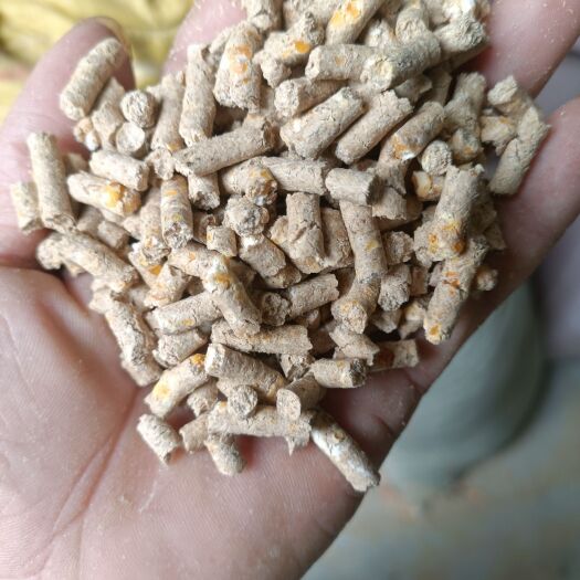 恩平市营养价值高的颗粒料，需要可以联系我