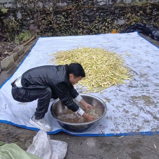 威信县罗汉笋