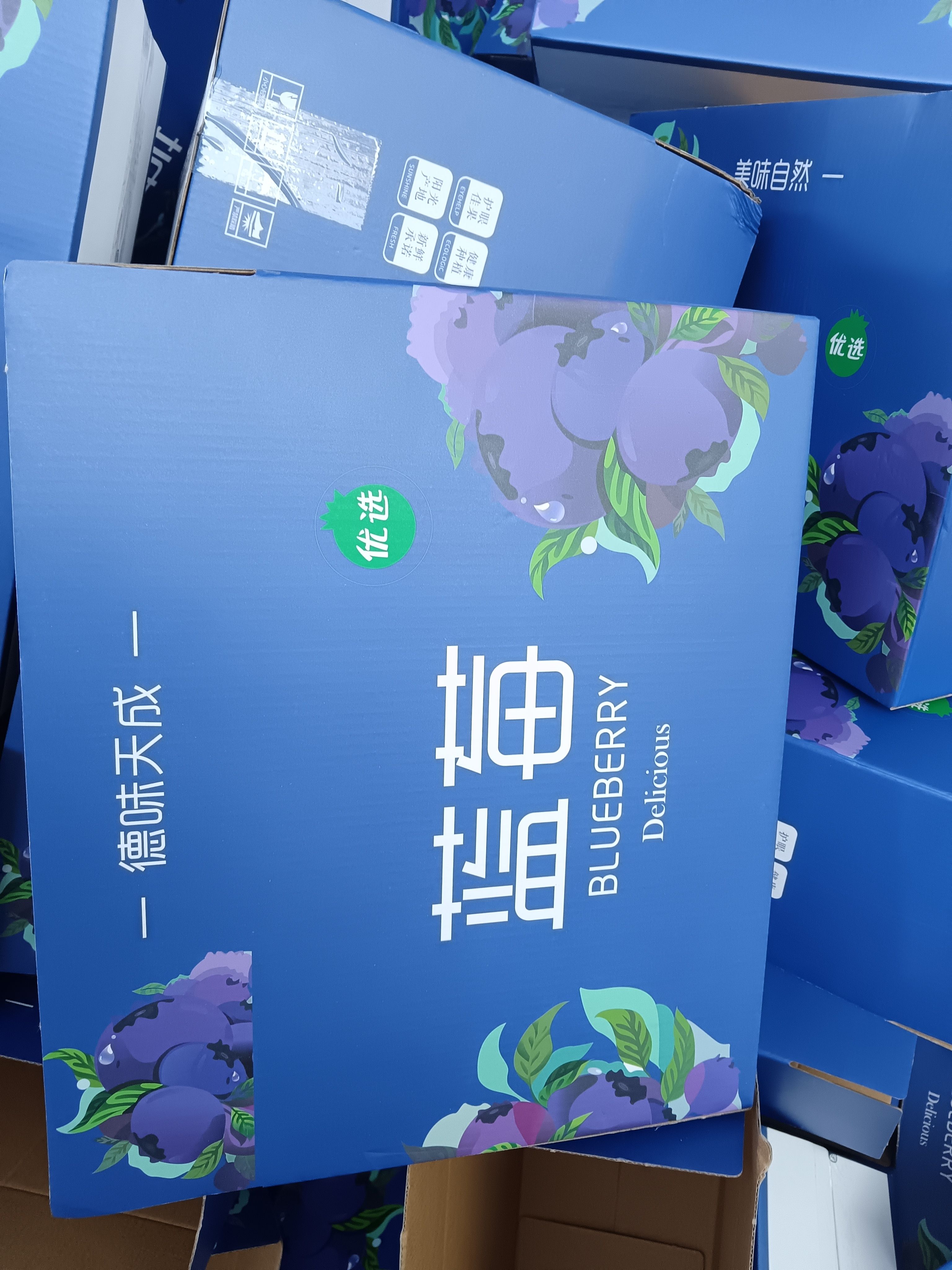 德昌阳光玫瑰蓝莓，脆甜蓝莓