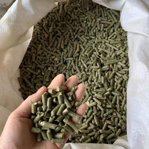 青岛西班牙原箱苜蓿草颗粒14/16蛋白