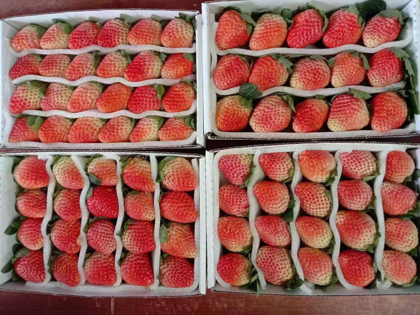 云南夏季（蒙特瑞）草莓