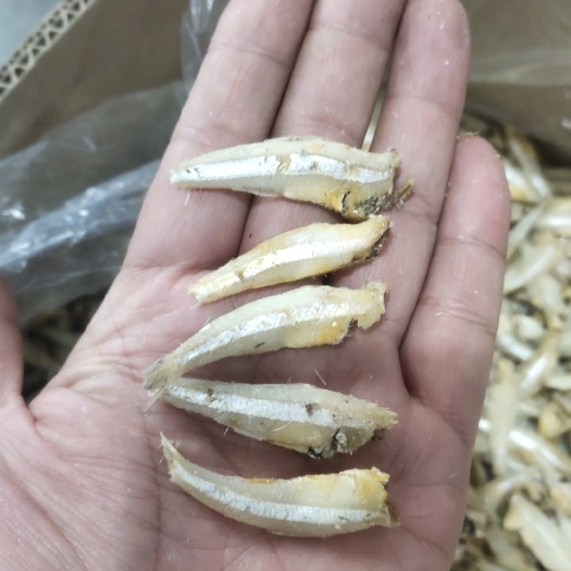 岳阳白公干