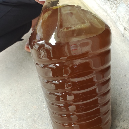 新余自种千亩双低高油甘蓝油菜籽